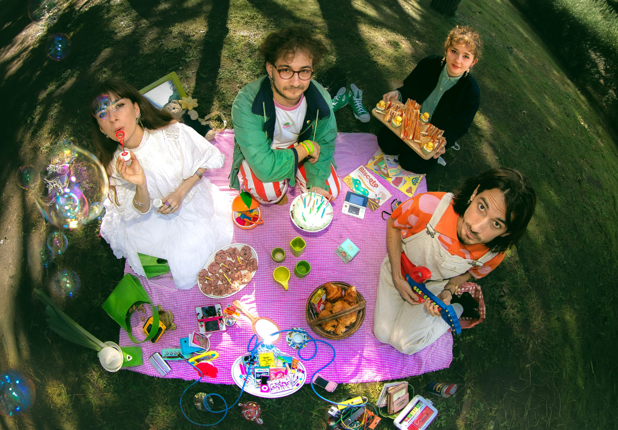 Read more about the article nit and dogs